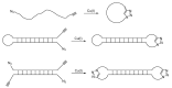 Scheme 4