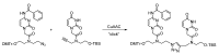 Scheme 14