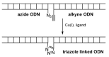 Scheme 3