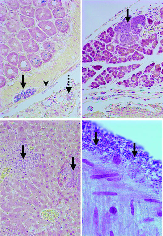 FIG. 3.