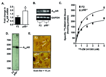 Fig. (3).