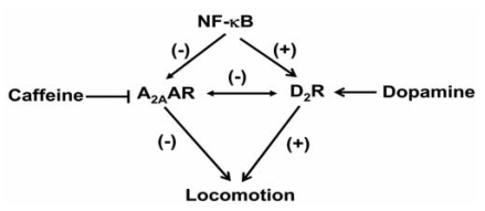 Fig. (5).