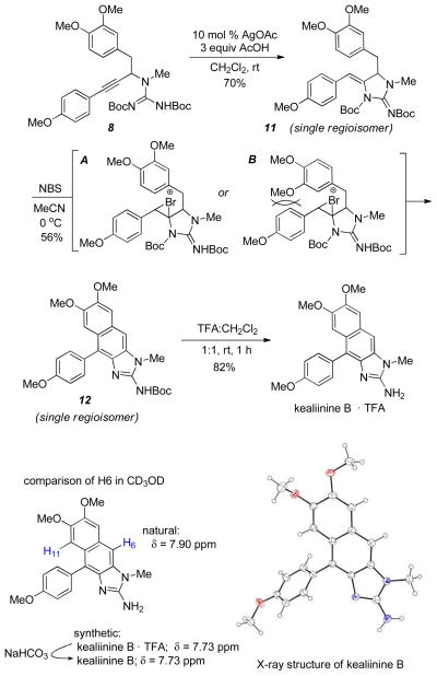 Scheme 4