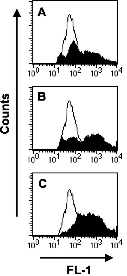 FIG. 1.