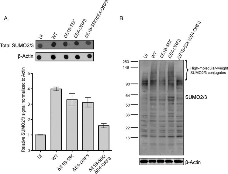 FIG 4