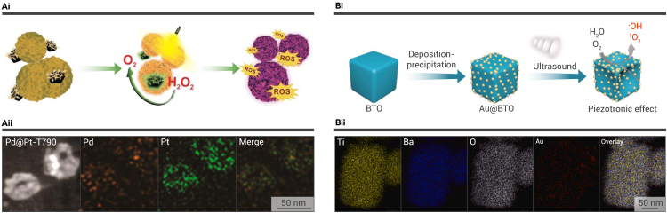 Figure 3