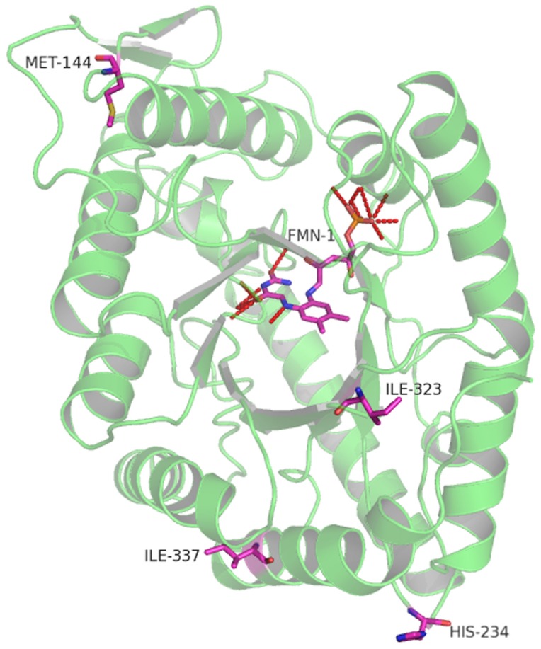 Figure 4