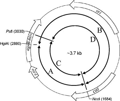 FIG. 1.