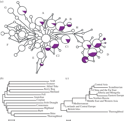 Figure 1.