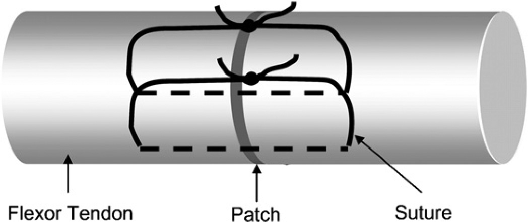 Fig. 1