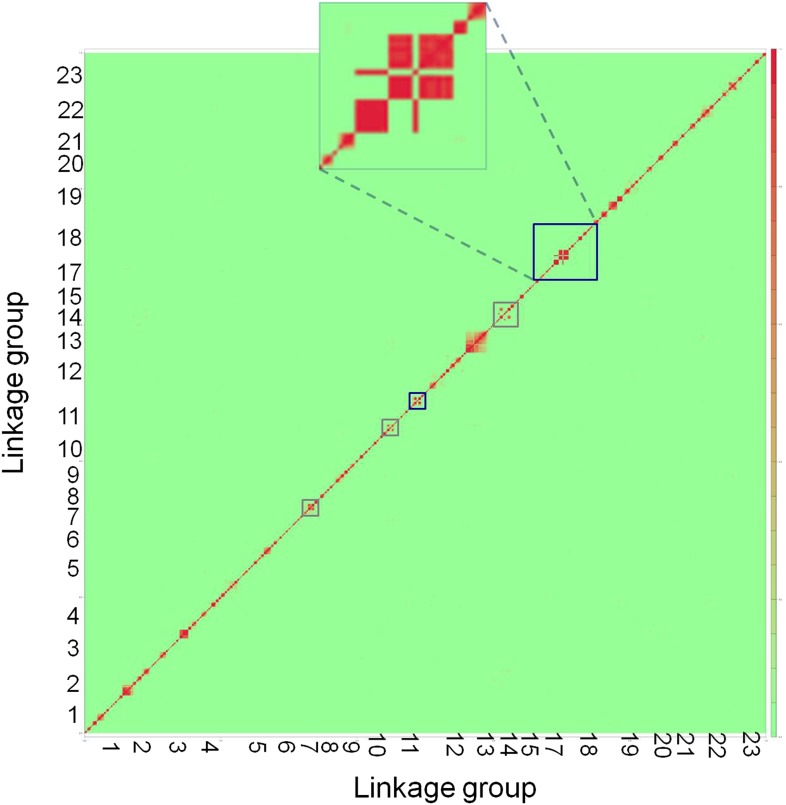 Figure 2—figure supplement 2.