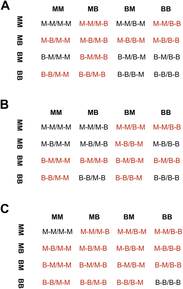 Figure 5—figure supplement 1.