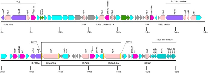 FIG 2