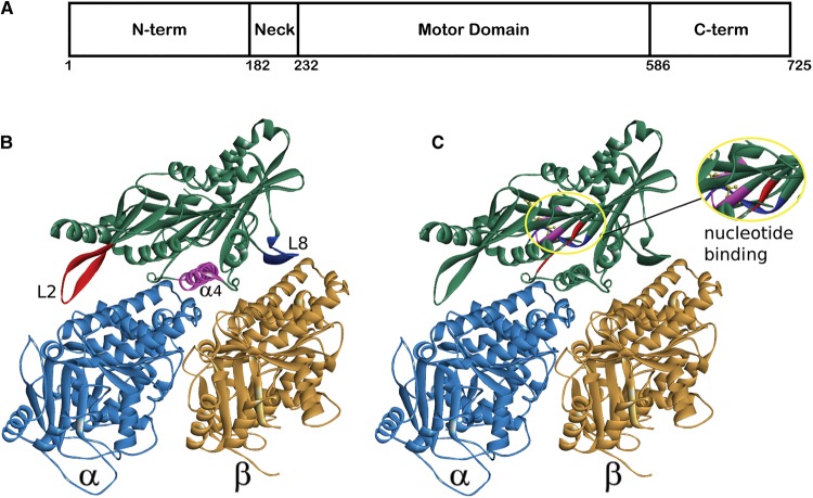 Figure 1.