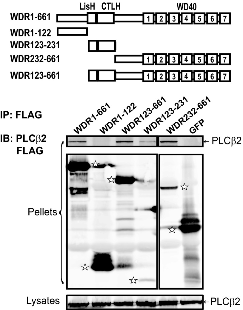 FIGURE 3.