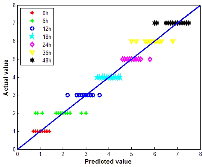 Figure 7