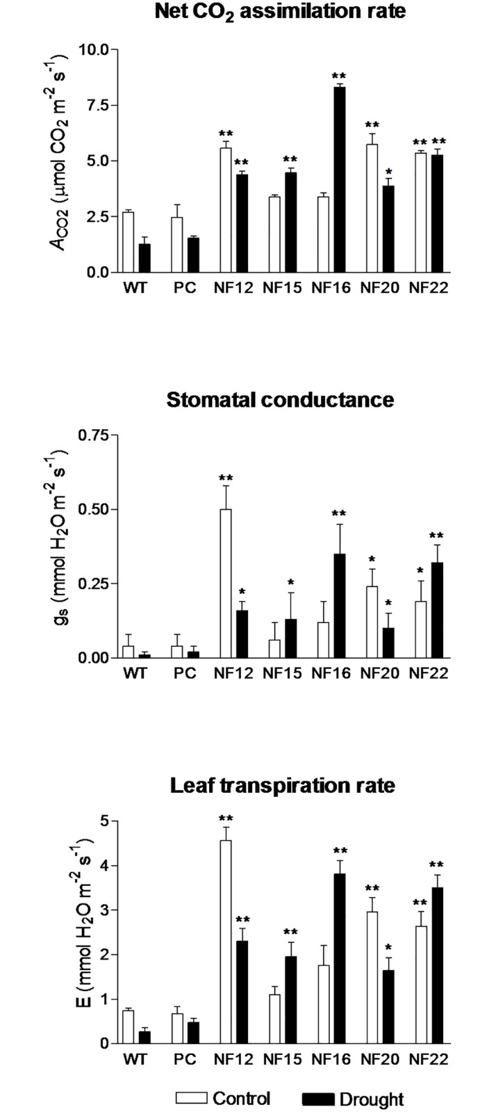 Fig 6