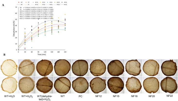 Fig 4