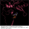 Fig. 3