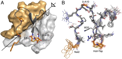 Fig. 4.