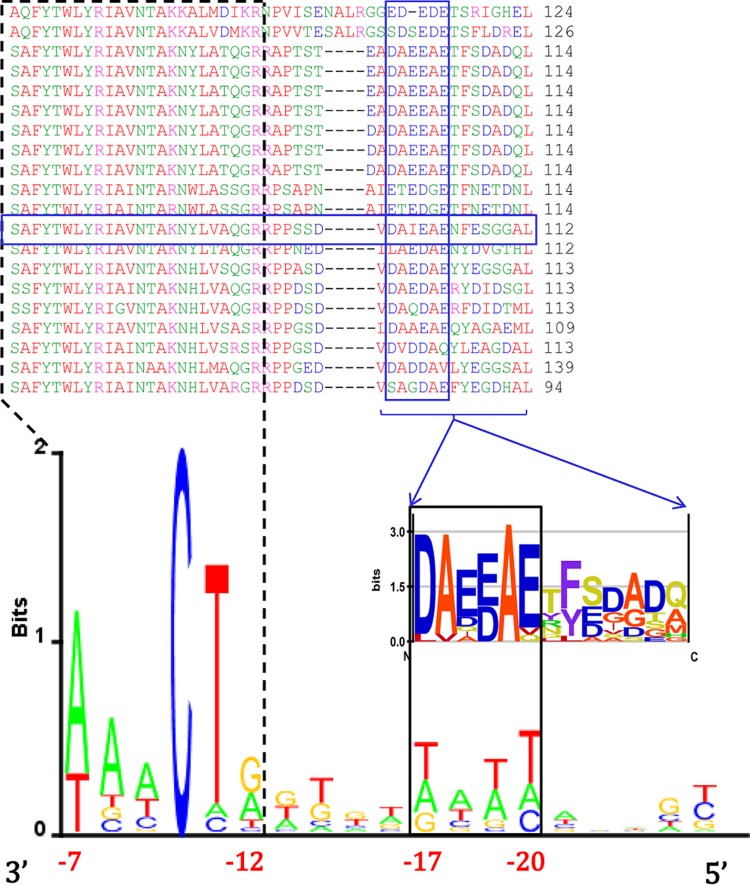 FIG 6