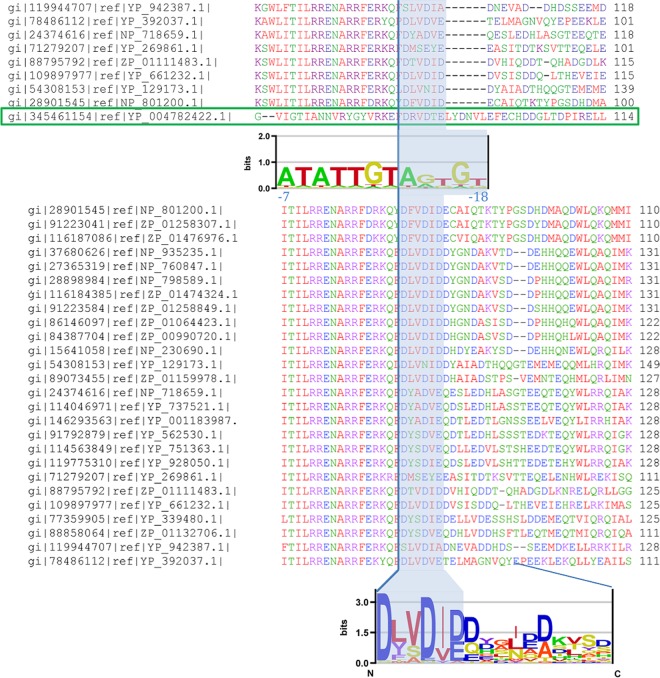 FIG 4