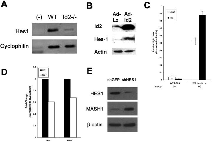 Figure 7.