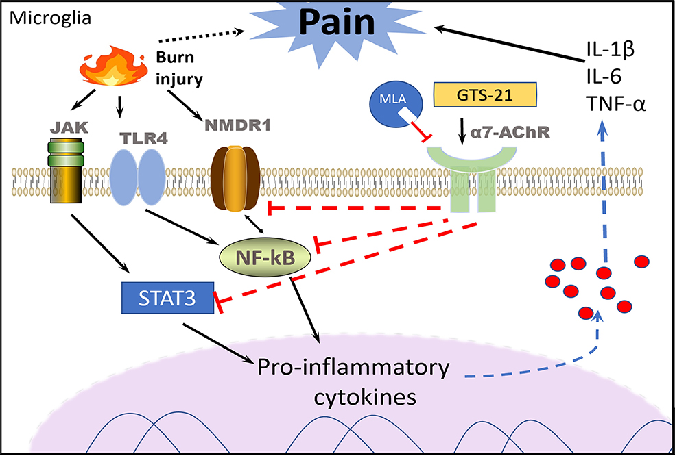 Figure 6.