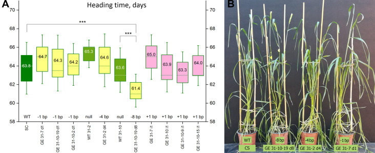 Figure 3