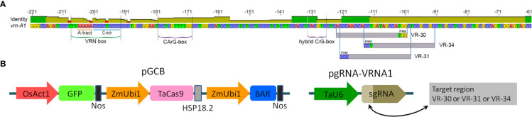 Figure 1