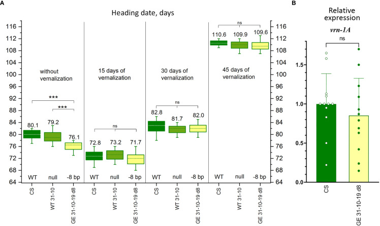 Figure 5