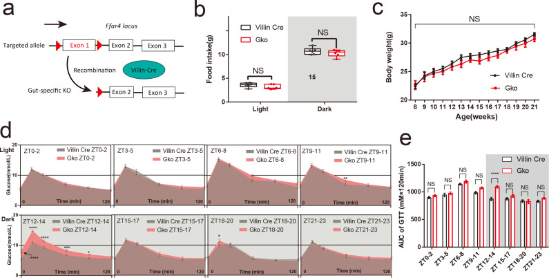 FIG 2