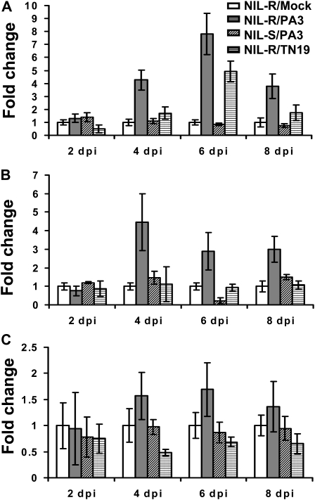 Figure 3.