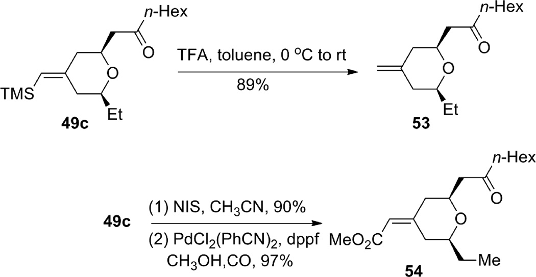 Scheme 13