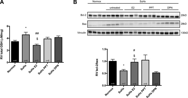 Fig. 12.