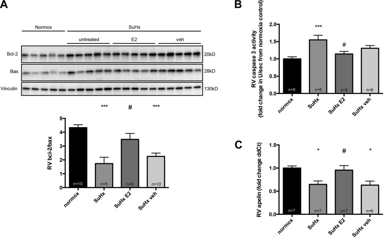 Fig. 10.