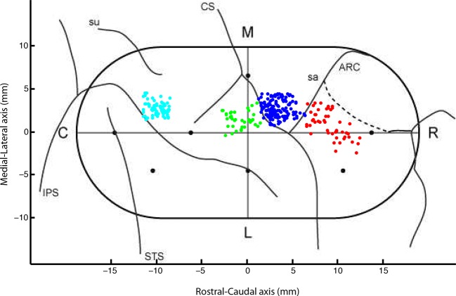 Figure 1—figure supplement 1.