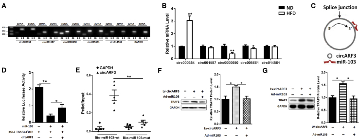 Figure 6