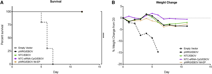 Figure 6