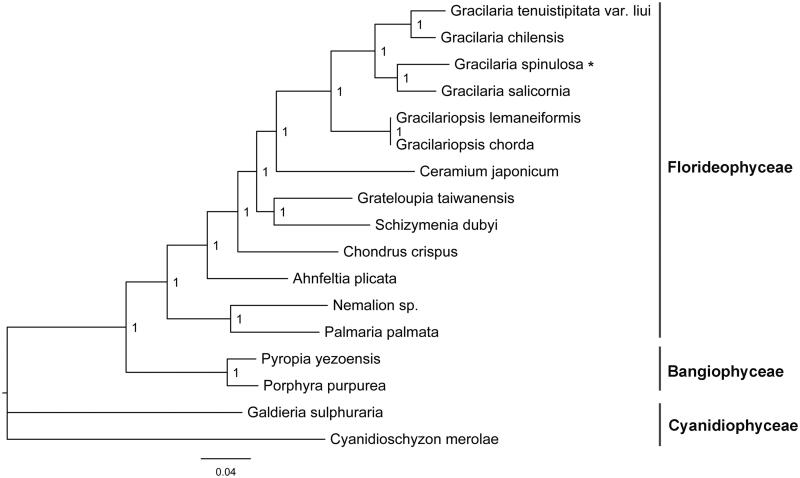 Figure 1.