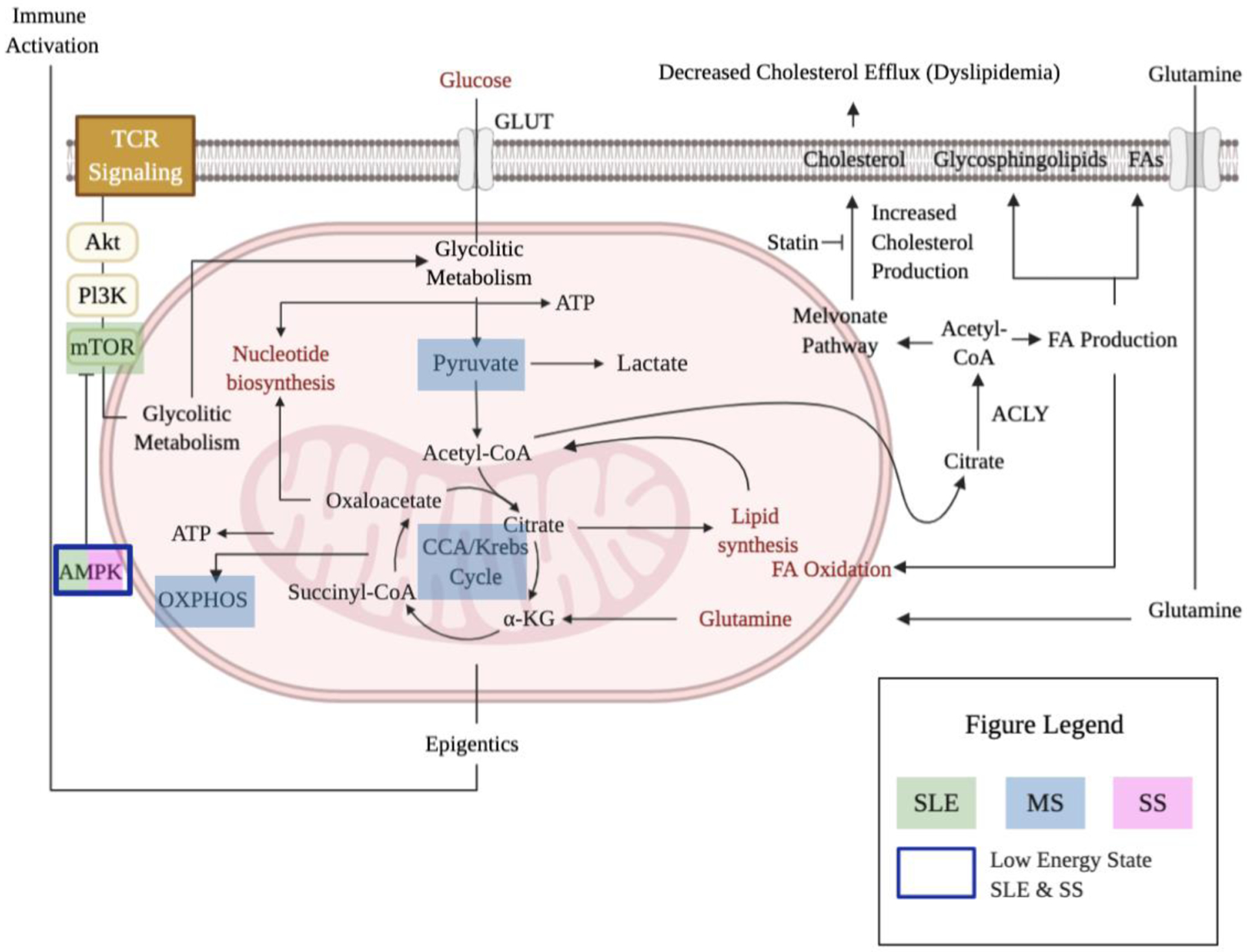 Figure 2: