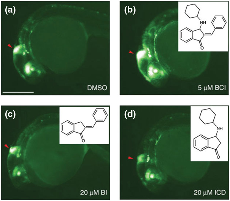 FIGURE 3 ∣