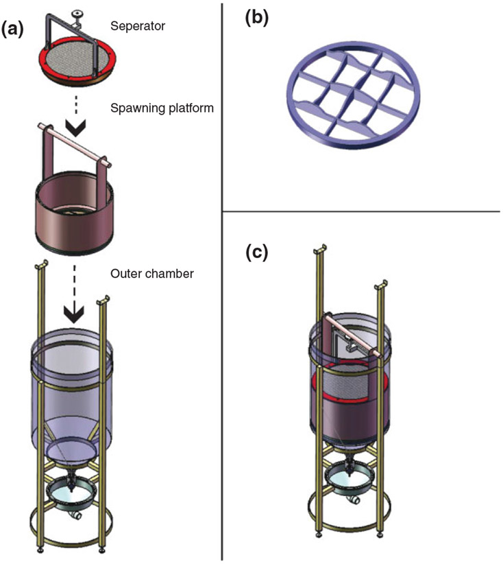 FIGURE 4 ∣