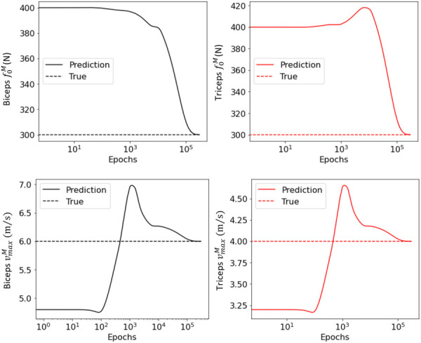 Evolution of the MSK parameters, f0M and vmaxM, of bicep and triceps during the training process