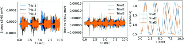 The measured transient raw sEMG signals and the corresponding angular motion of the elbow flexion-extension of the subject