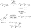 Scheme 92