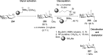 Scheme 73