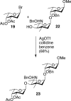 Scheme 7