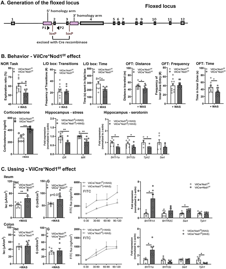 Figure 7.