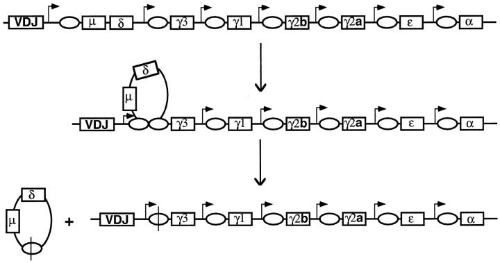 Figure 7.